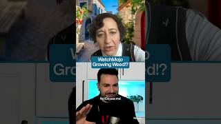 Kristen Schaal amp Ken Jeong Roast WatchMojo Interviewer 🍃 [upl. by Vandyke994]