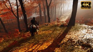 4K 60FPS  Beautiful Ride Into Woods In A Stormy Dawn  Ghost Of Tsushima  Directors Cut  asmr [upl. by Riggall457]