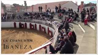 Course Landaise Barcelonne du Gers 24 Mars 2013 [upl. by Ibib]