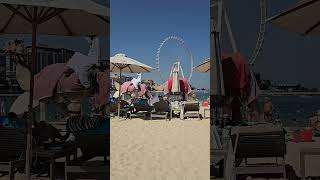 Camels walking in DUBAI marina beach ☀️ [upl. by Anana]