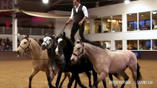 Horsemanship Showcase  Horse amp Country [upl. by Retswerb]