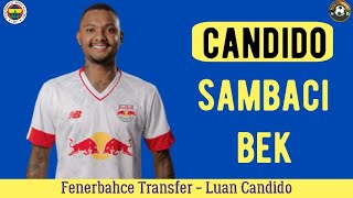 Fenerbahçe Transfer⚽️ Luan Candido Fenerbahçe fenerbahçe candido [upl. by Ramon]