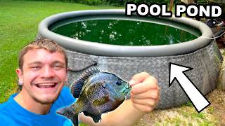 Stocking My Pool Pond with Fish [upl. by Chema]