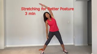 Standing Stretches 3 minutes [upl. by Hedva]