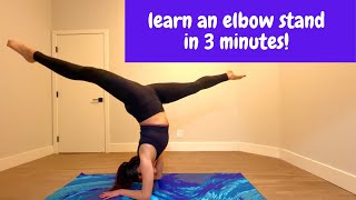 Learn HOW TO do an ELBOW STAND  FOREARM STAND in 3 minutes [upl. by Tonjes800]