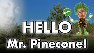 The Larry Seyer Show Episode 22  Mr Pinecone is born [upl. by Llenra]