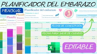 Planificador Mensual del Embarazo📆Editable en Excel✅Gestograma👶 [upl. by Herrington]