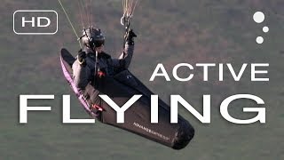 Paraglider Control How To Improve Your Active Flying [upl. by Llemhar]