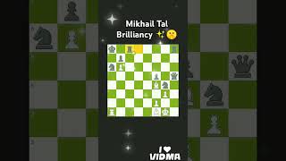 Mikhail Tal Brilliancy ✨🤫 체스 바비피셔 탁월 chess mikhailtal tal [upl. by Nednal194]