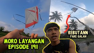 MORO LAYANGAN EPISODE 191  BERBURU LAYANGAN PUTUS DI KAMPUNG SENDIRI LAGI [upl. by Remde]