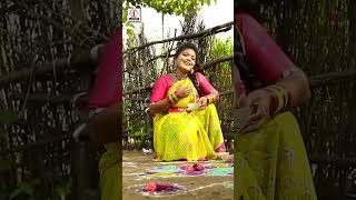 Sankranthi 2024 New Songs  Vennela Vakillalona Mama Song  YTShorts  Lalitha Audios And Videos [upl. by Sheelagh720]