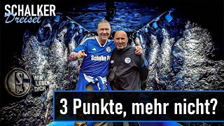 Schalker Dreisel 3 Punkte mehr nicht [upl. by Madison]