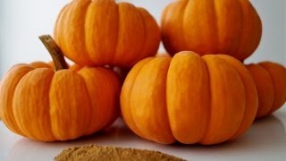 How To Make Pumpkin Spice Diane KometaDishin With Di Recipe Video 11 [upl. by Kenneth246]