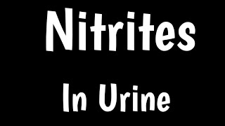 Nitrites in Urine  Urinalysis  Microscopic Urine Analysis [upl. by Sheelagh752]