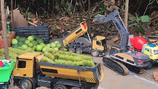 Transporting cotton beans passion fruit sugarcane chicken eggs  Rc Truck Mn [upl. by Atnod]