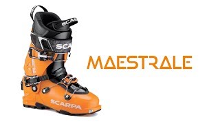 SCARPA Maestrale Ski Boots [upl. by Naitsihc]