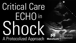 Critical Care Echocardiography in Shock [upl. by Ztnahc]