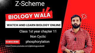 Class 11  Biology  Chapter 11  Lecture 7  Non Cyclic phosphorylation  Z Scheme [upl. by Noxas]