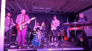 The Dave Kelly Band play Dust My Blues [upl. by Riobard]