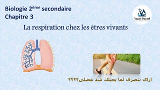 Biologie 2ème sec Chapitre 3 La respiration chez les êtres vivants [upl. by Orms]