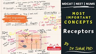 Receptor and their Types  Receptors in Skin  MDCAT  NUMS  NEET  PPSC [upl. by Chafee]