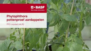 Orvego werkzaam tegen nieuwe phytophthorastammen [upl. by Camden]