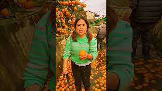 Fresh Fruit JuiceFruit Cutting GwangJang Market Seoul  Korean street food9 [upl. by Rush]