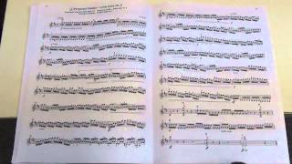 Suzuki Violin School Vol4 No6 Perpetual Motion Little Suite No6 [upl. by Kalikow638]