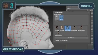 Ornatrix 3ds Max v8  How to use Graft Grooms [upl. by Aloysia900]