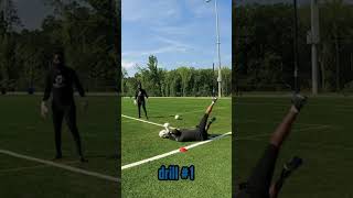 The Best Goalkeeper Training  3 necessary diving drills for goalkeepers [upl. by Lindahl]