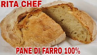 PANE DI FARRO 100⭐RITA CHEF  Veloce ad alta idratazione è gustoso e digeribile [upl. by Balfore958]