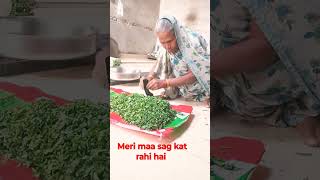 meri maa ji sag kat Rahi hai follow highlights followforfollowback [upl. by Kennet]