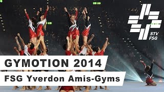 Gymotion 2014  FSG Yverdon AmisGyms [upl. by Forrest]