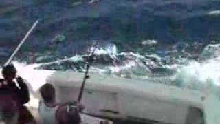 Black Marlin fishing in rough seas of Cairns [upl. by Steen]