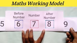 Maths Working Model on Before amp After Numbers  Maths Working Project  Maths Working Activity [upl. by Teilo]