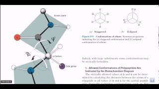 Torsional angle [upl. by Havens]