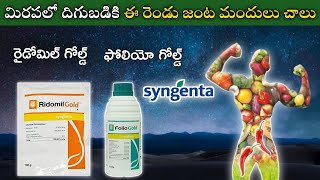 మిరపలో దిగుబడికి ఈ రెండు జంట మందులు చాలు  Syngenta Ridomil Gold  Folio Gold  Mana kisan మన రైతు [upl. by Chicoine]