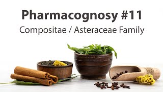 11 Compositae  Asteraceae Family  Pharmacognosy [upl. by Adnolat230]