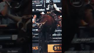 Secrets of Bushwacker The Ultimate Bull Riding Experience [upl. by Ahsei]