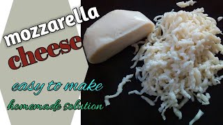 Mozzarella cheese quick and easy recipe at home [upl. by Saire]