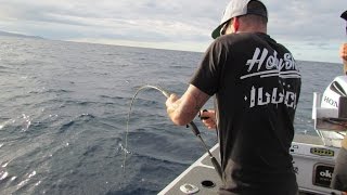 Fishing amp Adventure Season 3 Ep 7  WHANGAMATA [upl. by Strader]