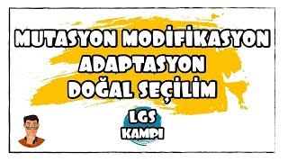 Mutasyon Modifikasyon Adaptasyon  LGS Kampı [upl. by Yentrok]