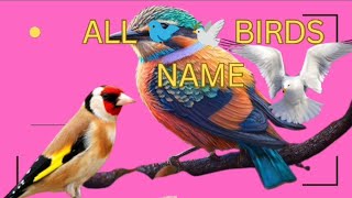 Name of the Birds 🐦🕊️ Tamil and English Spelling and pictures Tamilamp English  பறவைகளின் பெயர் [upl. by Chiang]