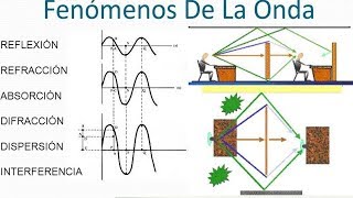 Fenómenos Ondulatorios Reflexión y Refracción de Ondas Mecánicas Snell Física [upl. by Haizek944]