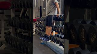 Get rid of shin splints with Tibialis Anterior Raises [upl. by Yeclek]