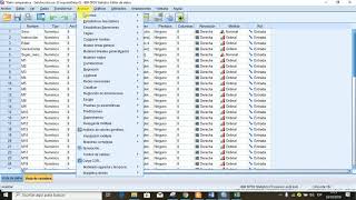 Análisis de un estudio Descriptivo Comparativo en el SPSS [upl. by Huang565]