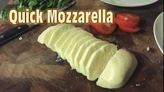 Making Quick Mozzarella at home [upl. by Durham]