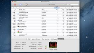 Fix a slow Mac with Activity Monitor [upl. by Dwyer]