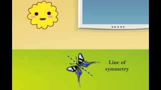 Symmetry using mirror  Class 3 Maths Meritnationcom [upl. by Ailyn]