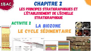 chapitre 2 principes stratigraphiques  Activité 2 Notions de la Biozone et le cycle sédimentaire [upl. by Jillian]